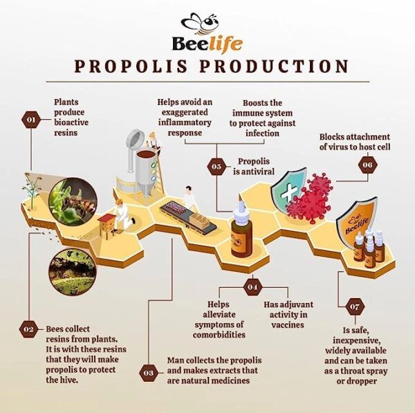 Beelife Propoflex Green Propolis Extract – 15% Extract Bee Propolis Tincture, High Artepillin-C Levels – Natural Antioxidant-Rich Liquid Supplement for Health – 30ml